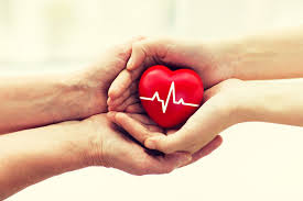 Heart Health Newsletter